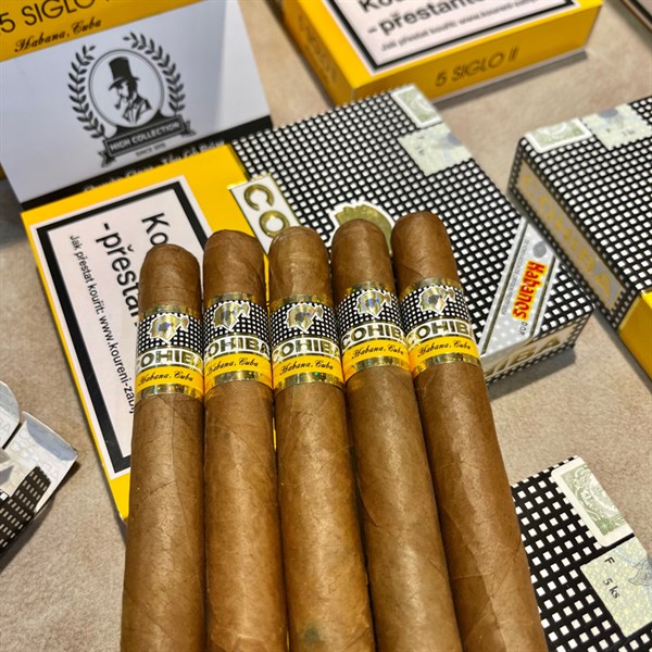 Cigar Cohiba 25 Siglo II