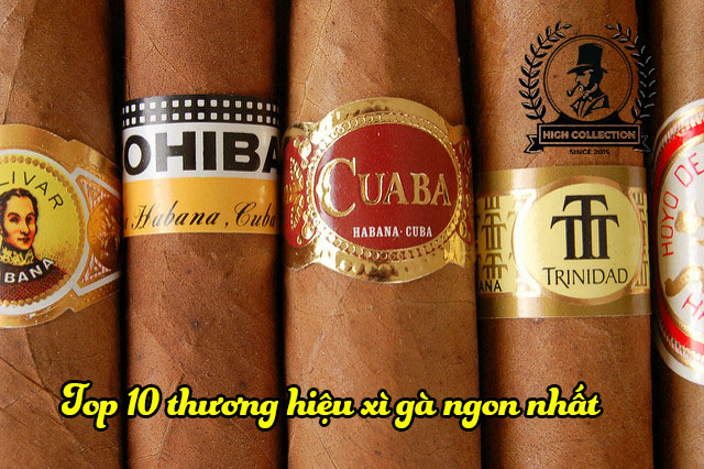 top 10 thương hiệu xì gà ngon nhất